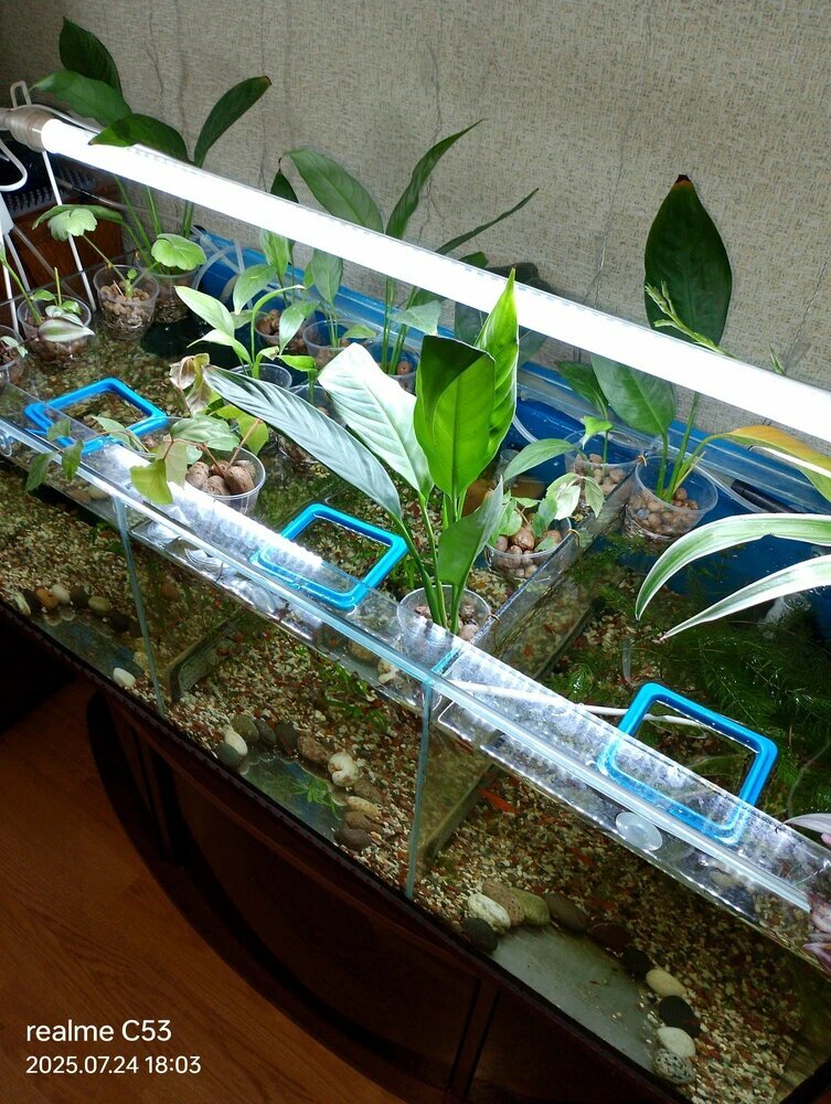 Кормушка для рыб в аквариум, квадратная кормушка для плавучего корма — фото 1