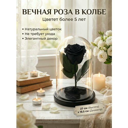 фото Стабилизированные цветы в стекле, роза в колбе живая premium черная, подарочный набор для женщины, долговечный букет, gift4you gift for you