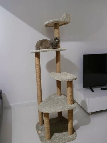 Изображение товара Игровой комплекс для кошек, Моя Котя, "Достучаться до небес", светло-серый ковролин и джут