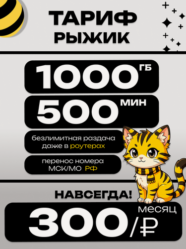 Изображение товара 1000 Гб 500 мин 100 (+ 30 руб) смс за 300 рублей в месяц SIM карта beeline безлимитный для всех устройств