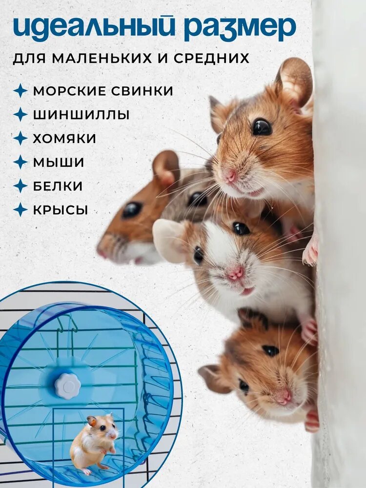 Колесо для грызунов 22 см диаметр из ABS пластика для активных игр и тренировок