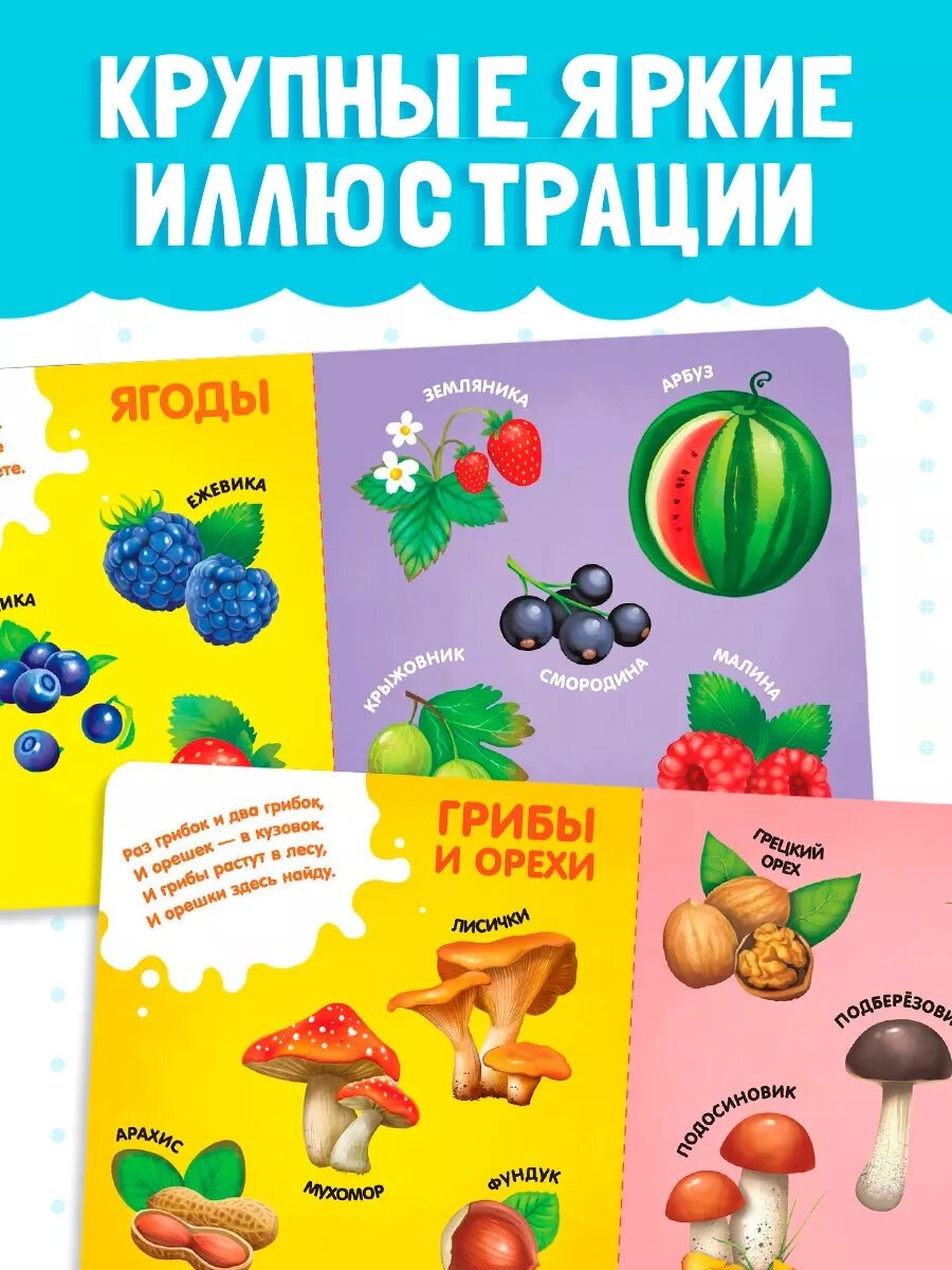 Книга детская буква-ленд "Фрукты, овощи и не только" картонная, 10 стр, книги для малышей — фото 1