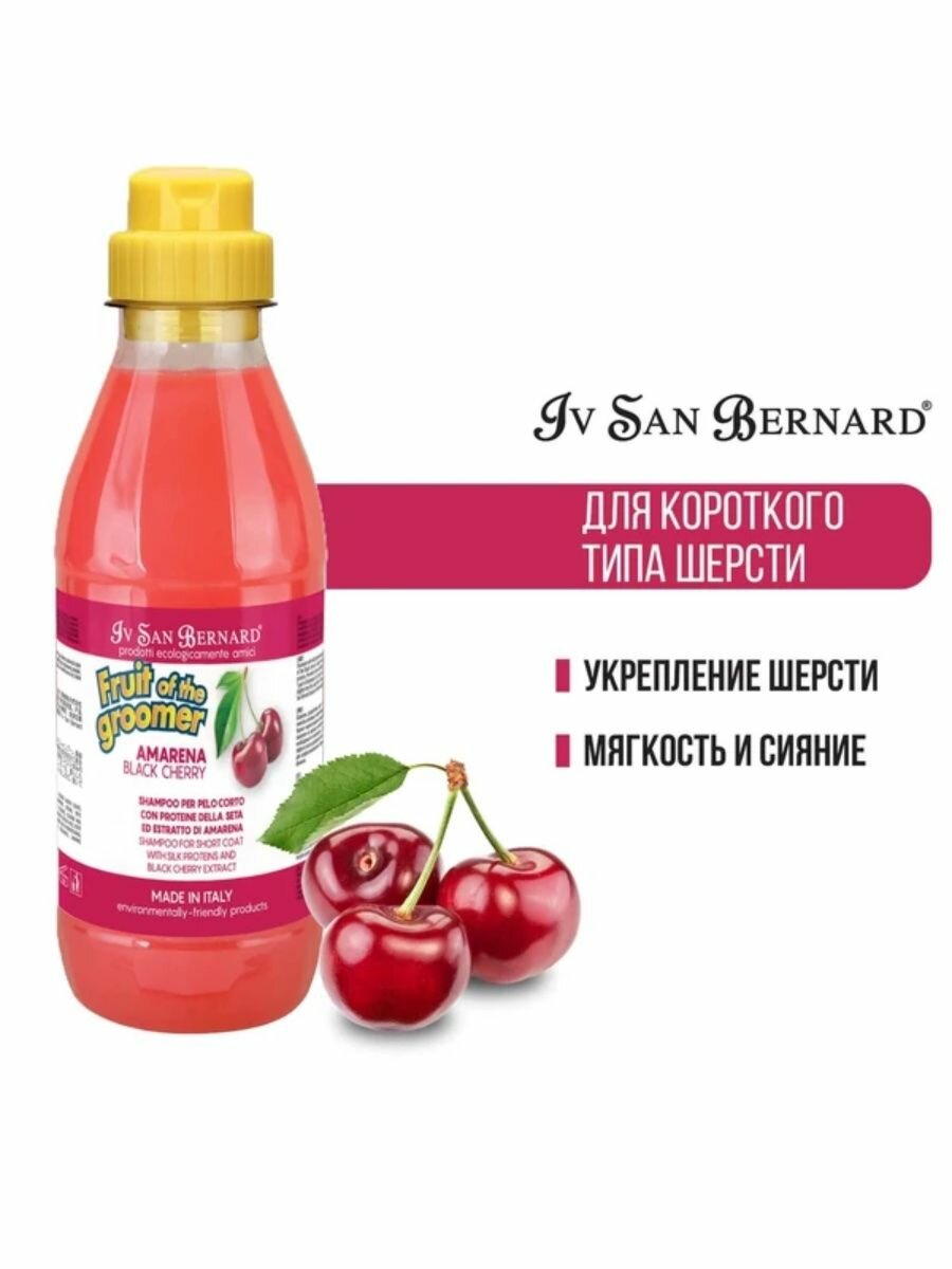 Iv San Bernard Fruit of the Groomer Black Cherry Шампунь для короткой шерсти с протеинами шелка 500 мл