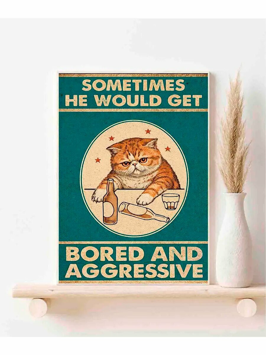 Экзотическая короткошёрстная кошка, Bored And Aggressive, П