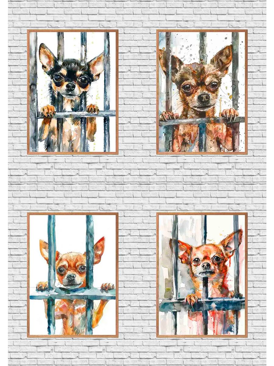 Собака чихуахуа- преступник в тюрьме, 4 Плаката, 30x21см