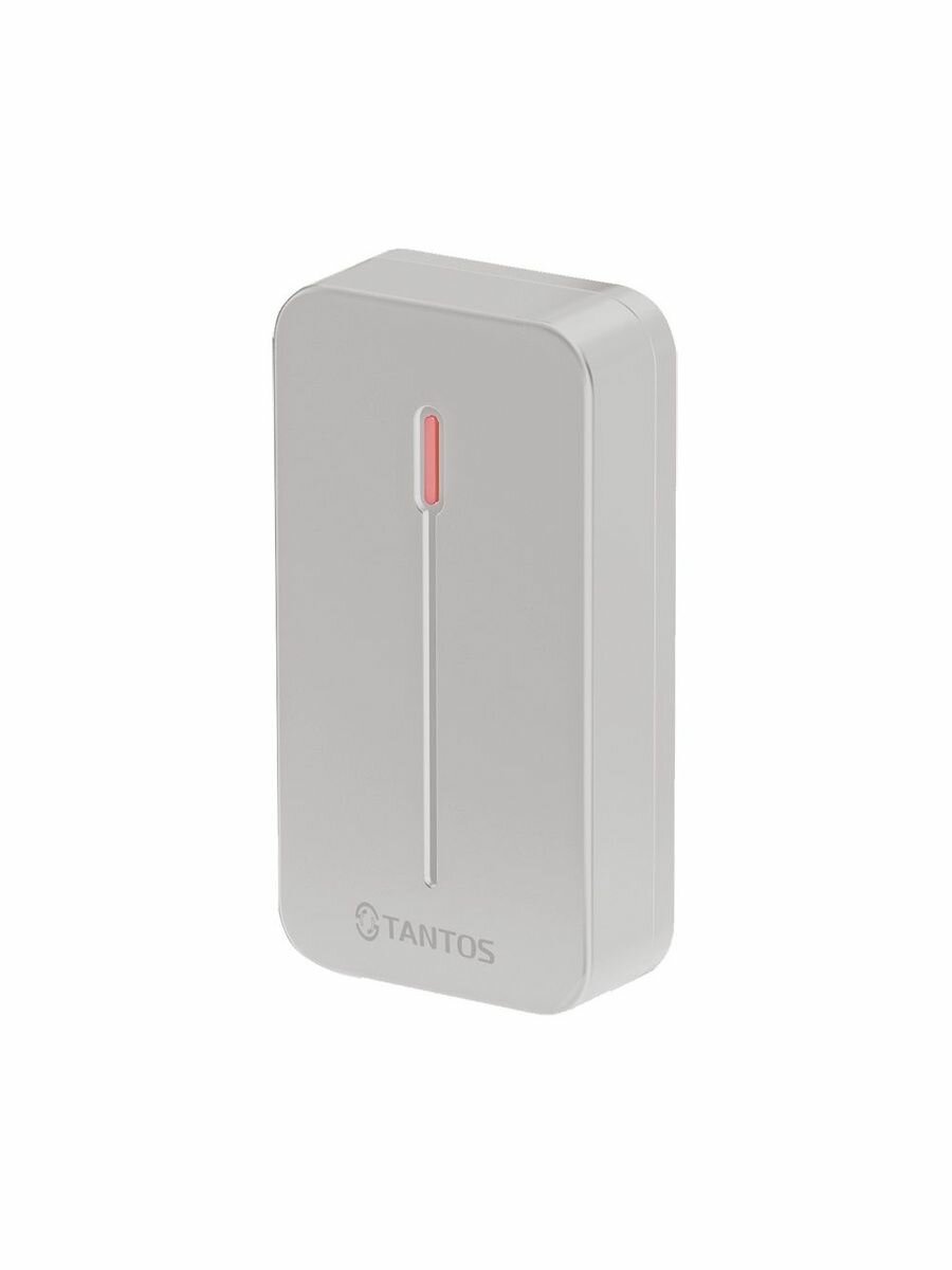 Считыватель TS-RDR-E mini (серый)