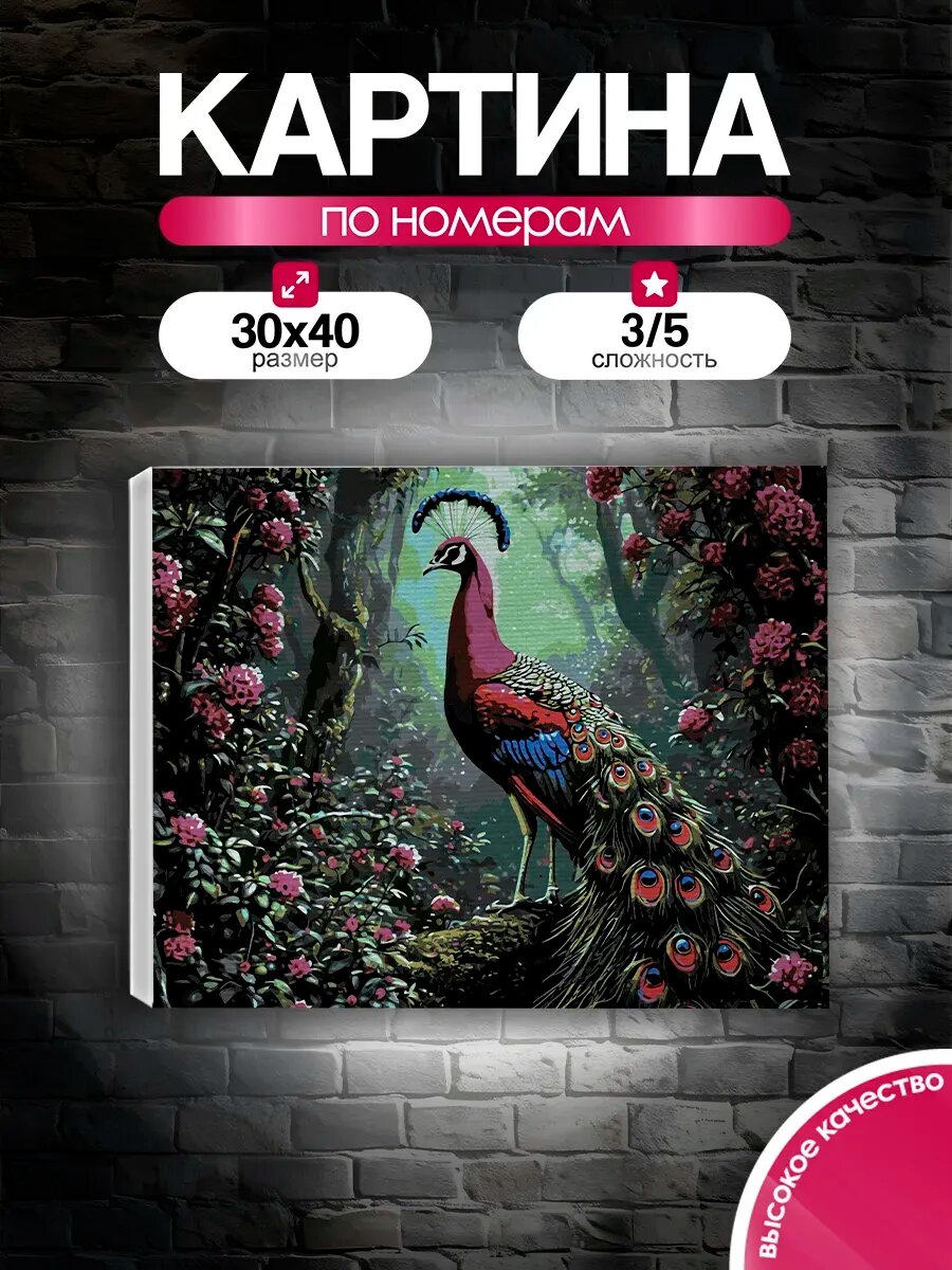 Картина по номерам 30x40 Павлин в цветах