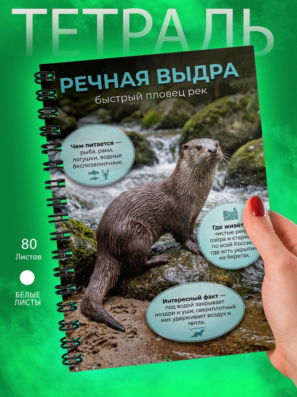 Тетрадь - Скетчбук А5 - Животные России - Речная выдра