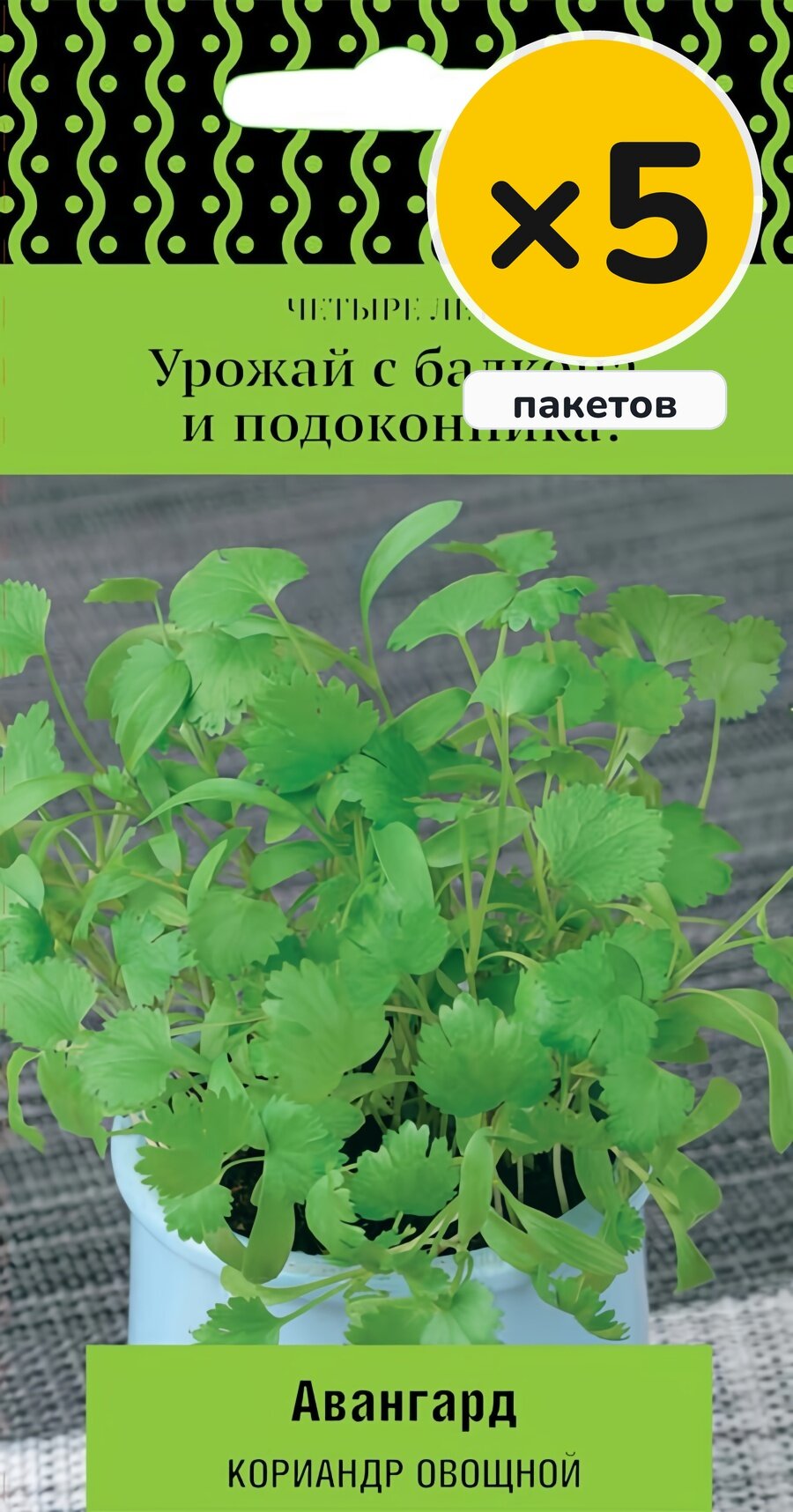 Семена кориандра овощного Авангард, 1 г, 5 пакетов, Поиск, однолетник, высота до 30 см, посев в грунт в апреле–мае