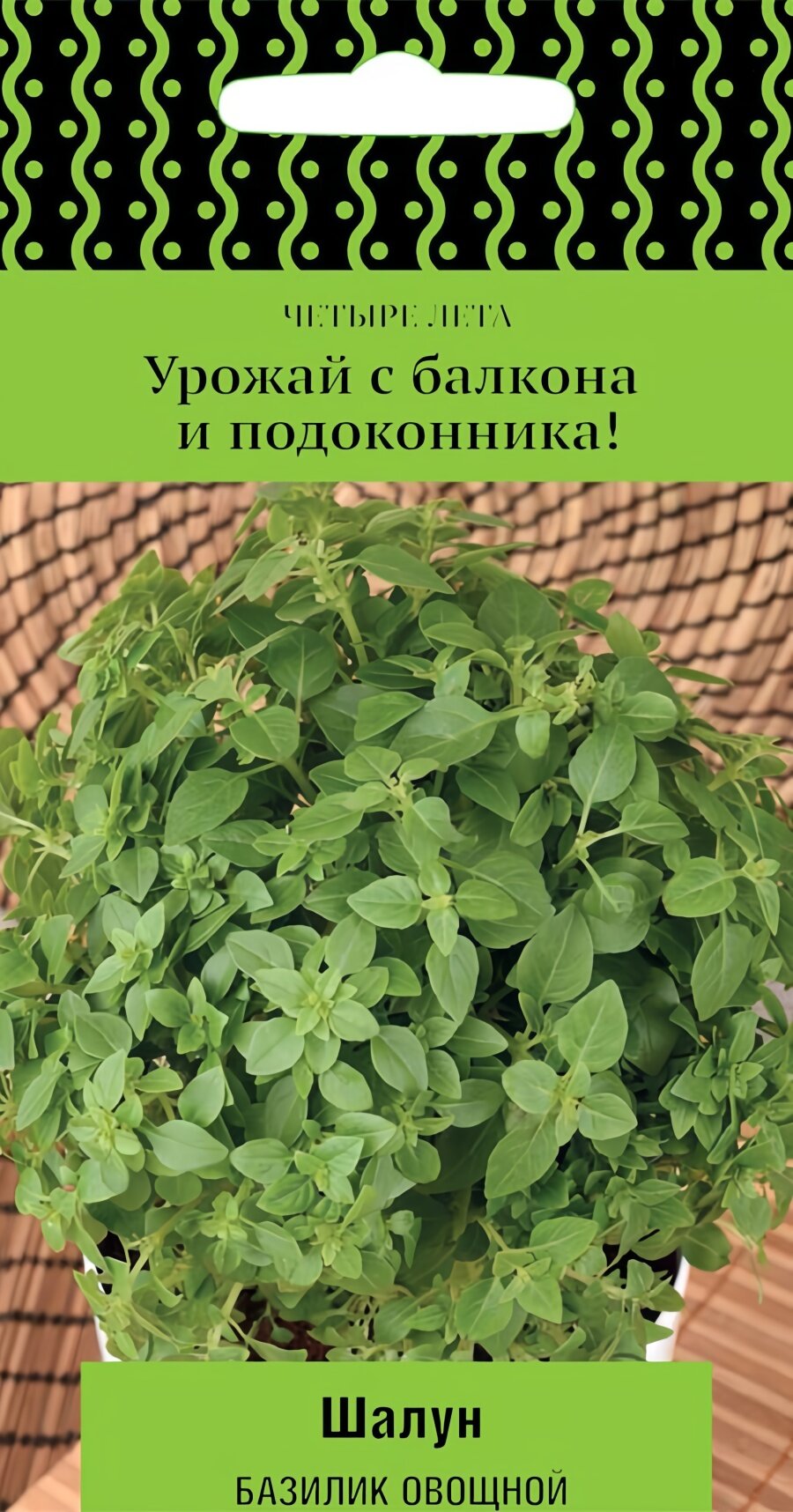 Семена базилика овощного Шалун, 0,1 г, Поиск, однолетник, посев на рассаду в марте–апреле, для солнечных мест