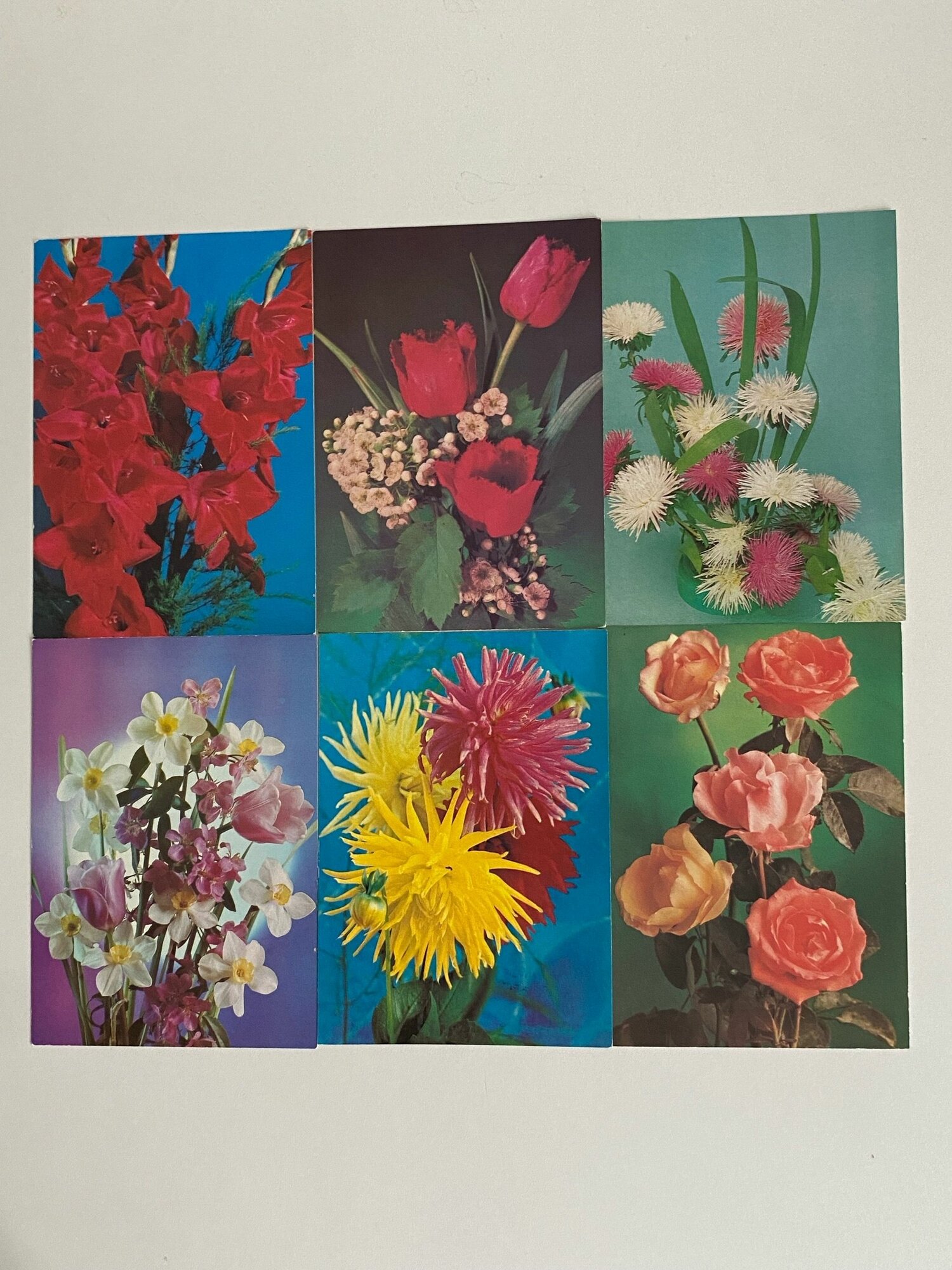 Набор винтажных открыток "Цветы". СССР. 6 шт. Размеры: 15х10.5 см.