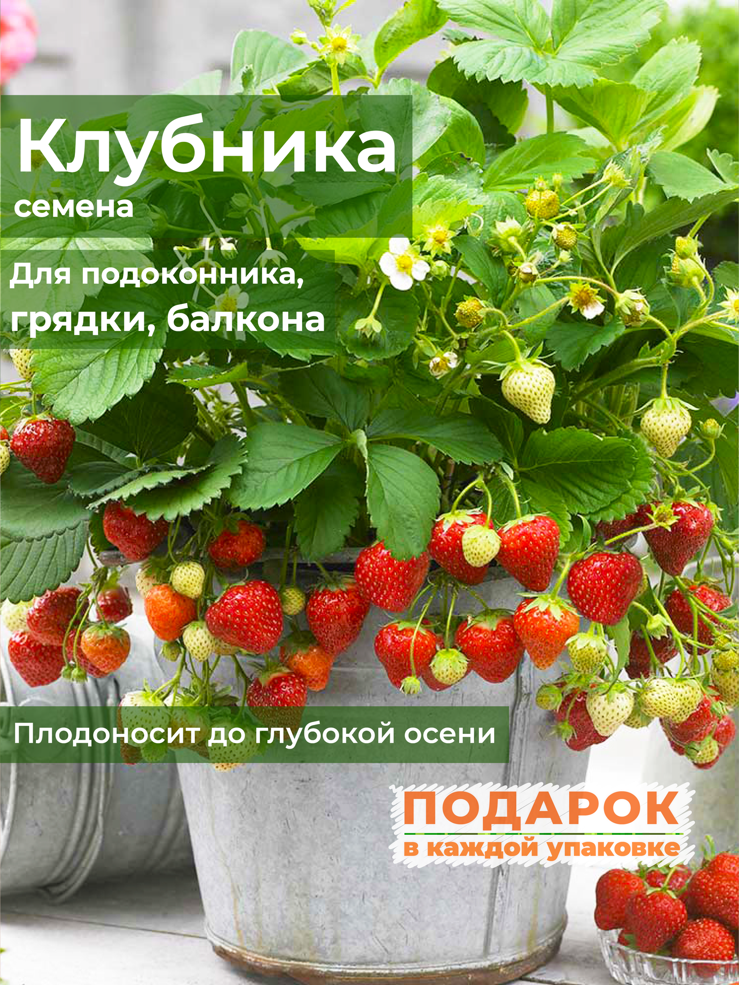 Клубника балконно-комнатная Лесные нотки, Семена, 50 шт, семена ягод