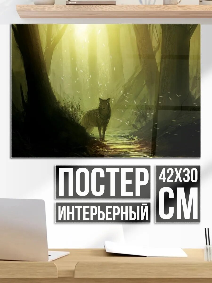 Плакат постер Волк в лесу