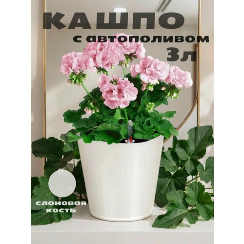 фото Кашпо с системой автополива акиби комфорт, слоновая кость, 3л
