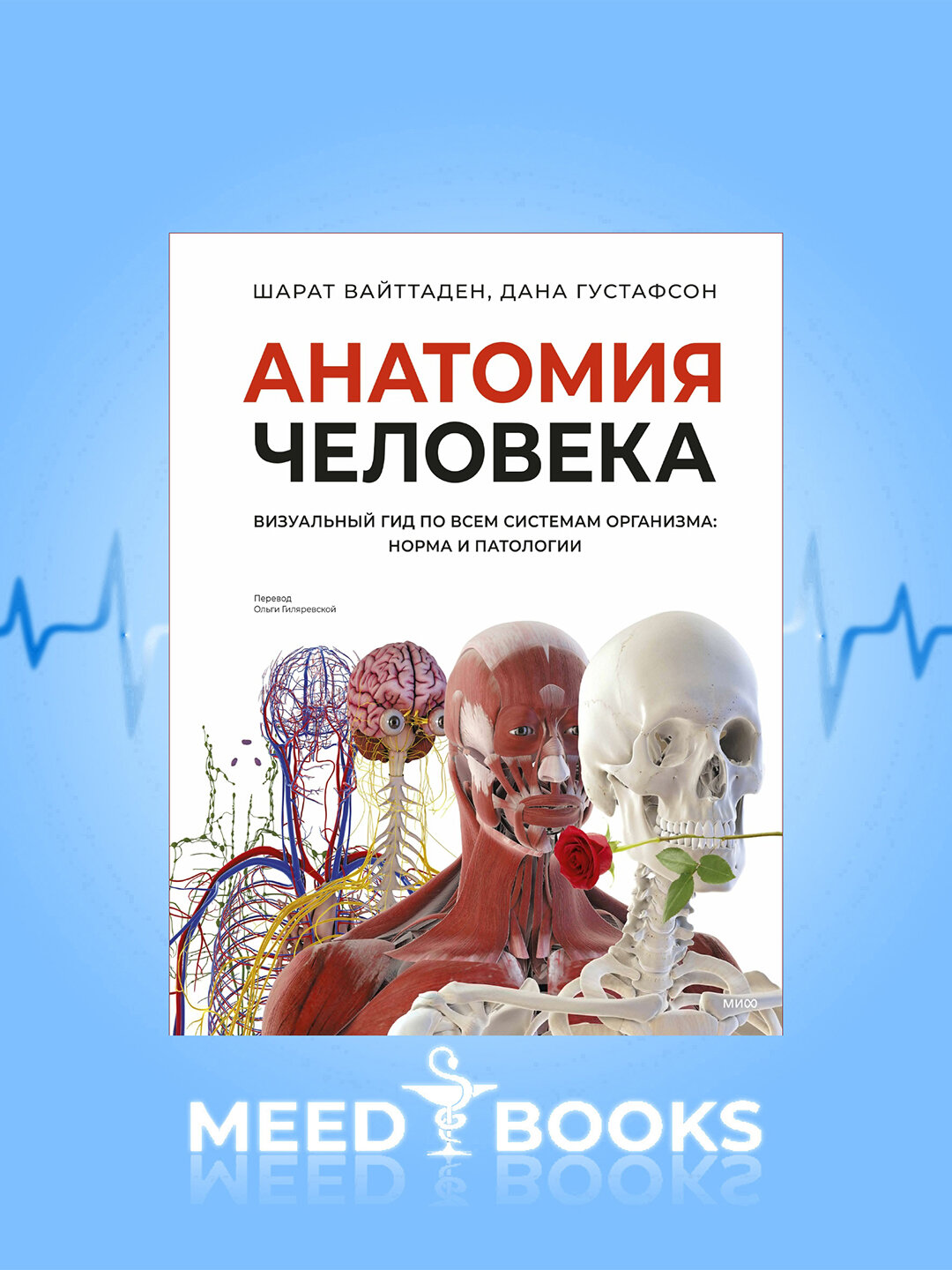 Книга "Анатомия человека: Визуальный гид.", 2025 г, 320 стр.