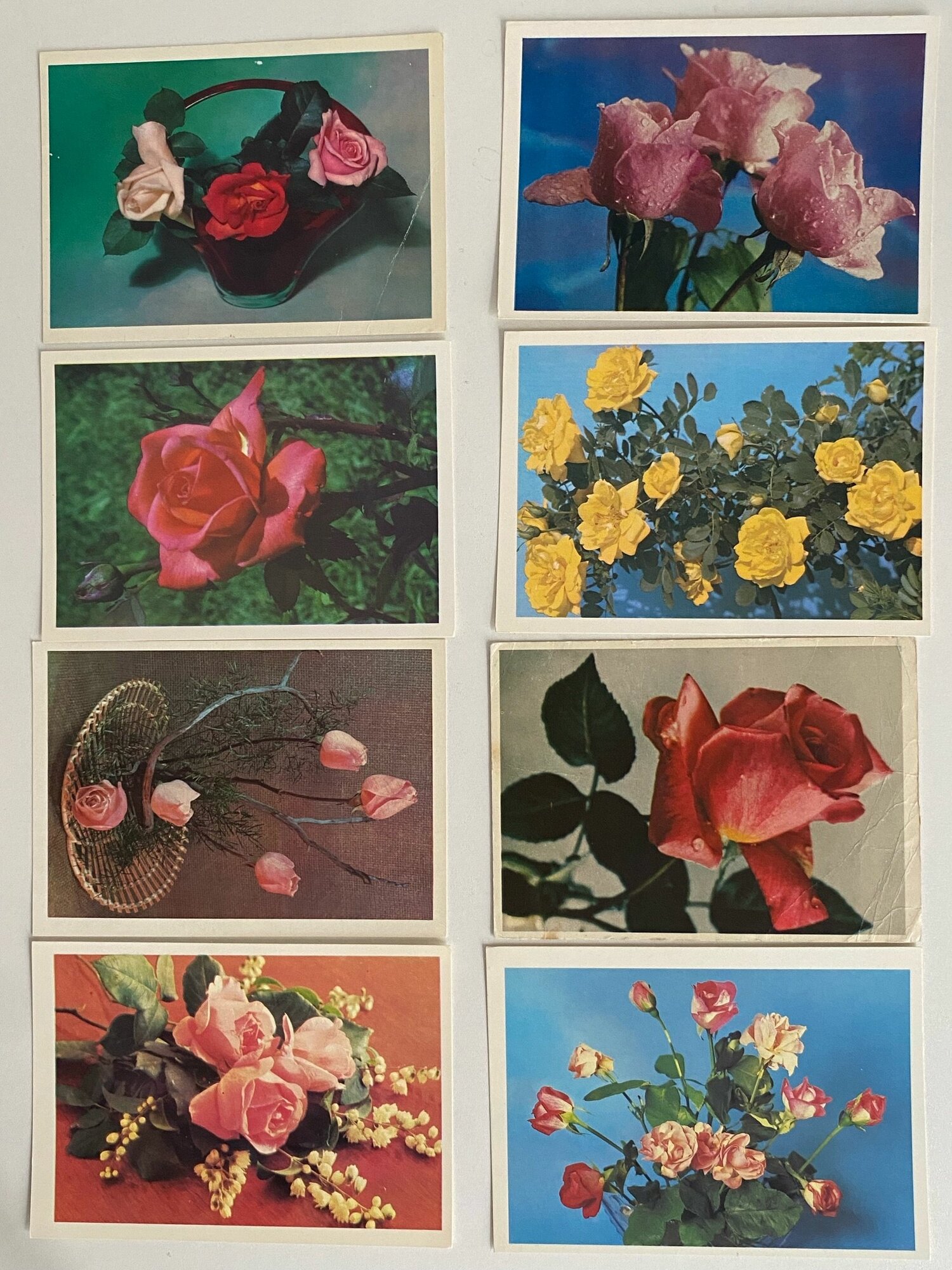 Набор винтажных открыток "Цветы". СССР. 9 шт. Размеры: 15х10.5 см. Одна слегка помята.