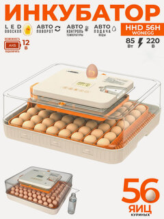 Изображение товара Инкубатор HHD 56H автоматический для яиц, с контролем влажности и овоскопом, на 220В/12В от сети и аккумулятора
