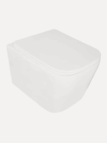 Изображение товара Унитаз подвесной Loranto Delphi безободковый с системой смыва Tornado в комплекте с быстросъемным сиденьем микролифт AZ-91343