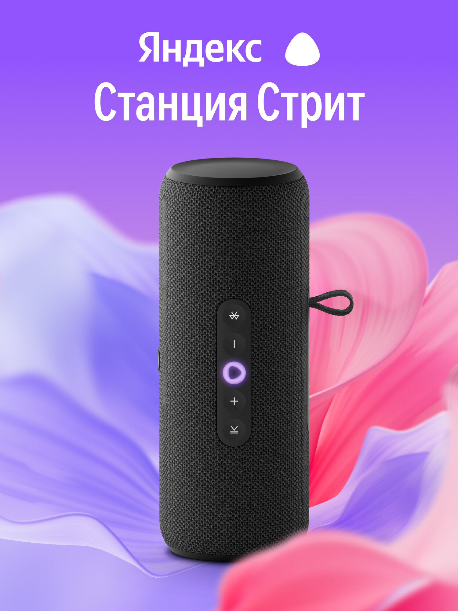 Умная беспроводная колонка Яндекс Станция Стрит с Алисой, черный, 30 В