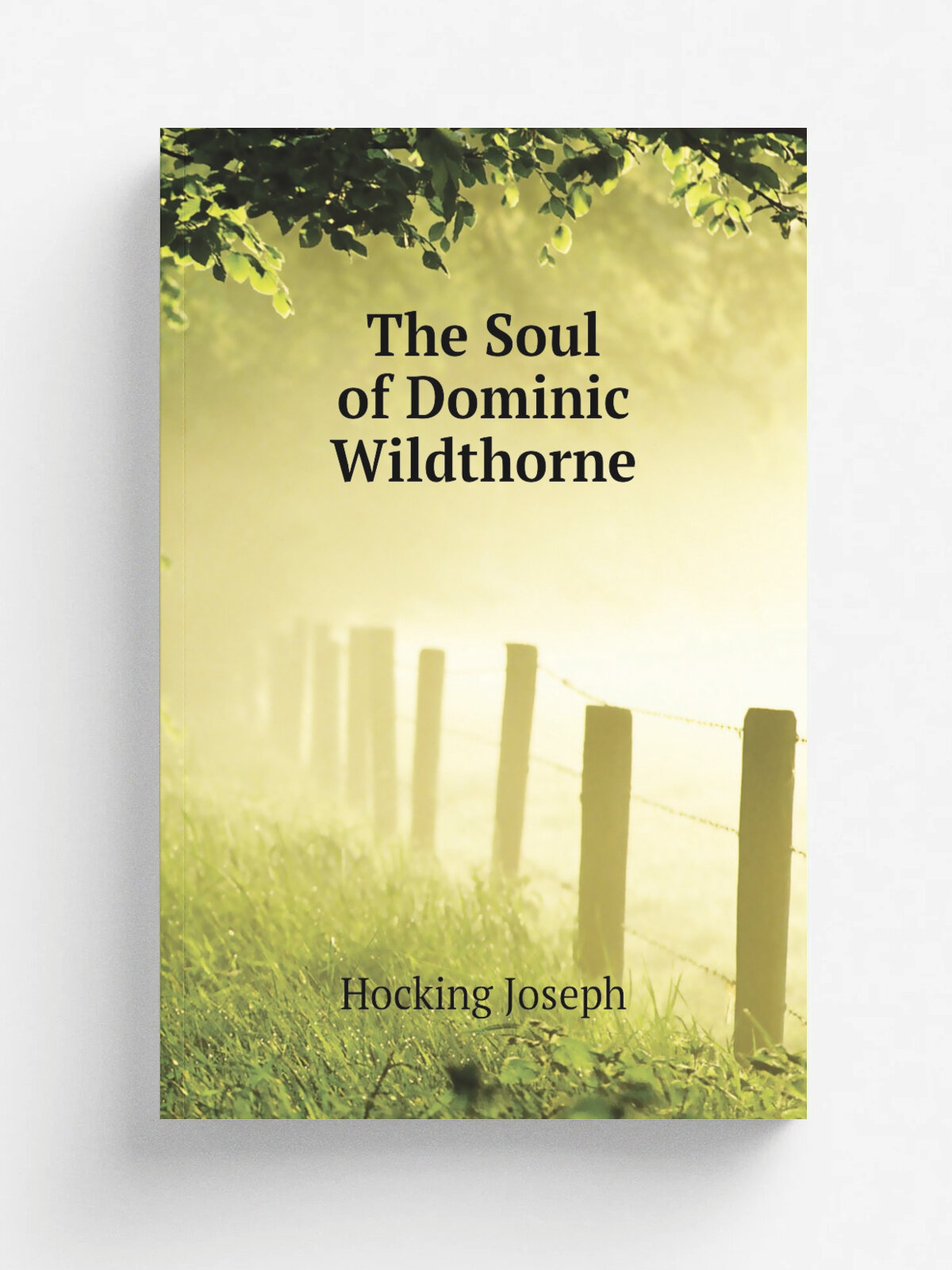 The Soul of Dominic Wildthorne | Hocking Joseph | Репринт