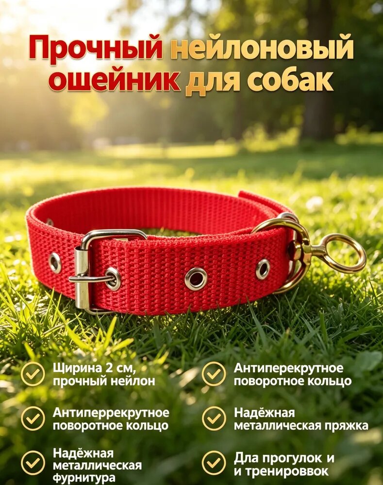 Ошейник брезентовый для средних/крупных собак, прочный регулируемый с металлической фурнитурой, для прогулок и дрессировки