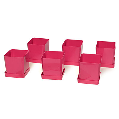 Горшки 05 л для рассады с поддоном (цвет розовый) 6 шт. набор