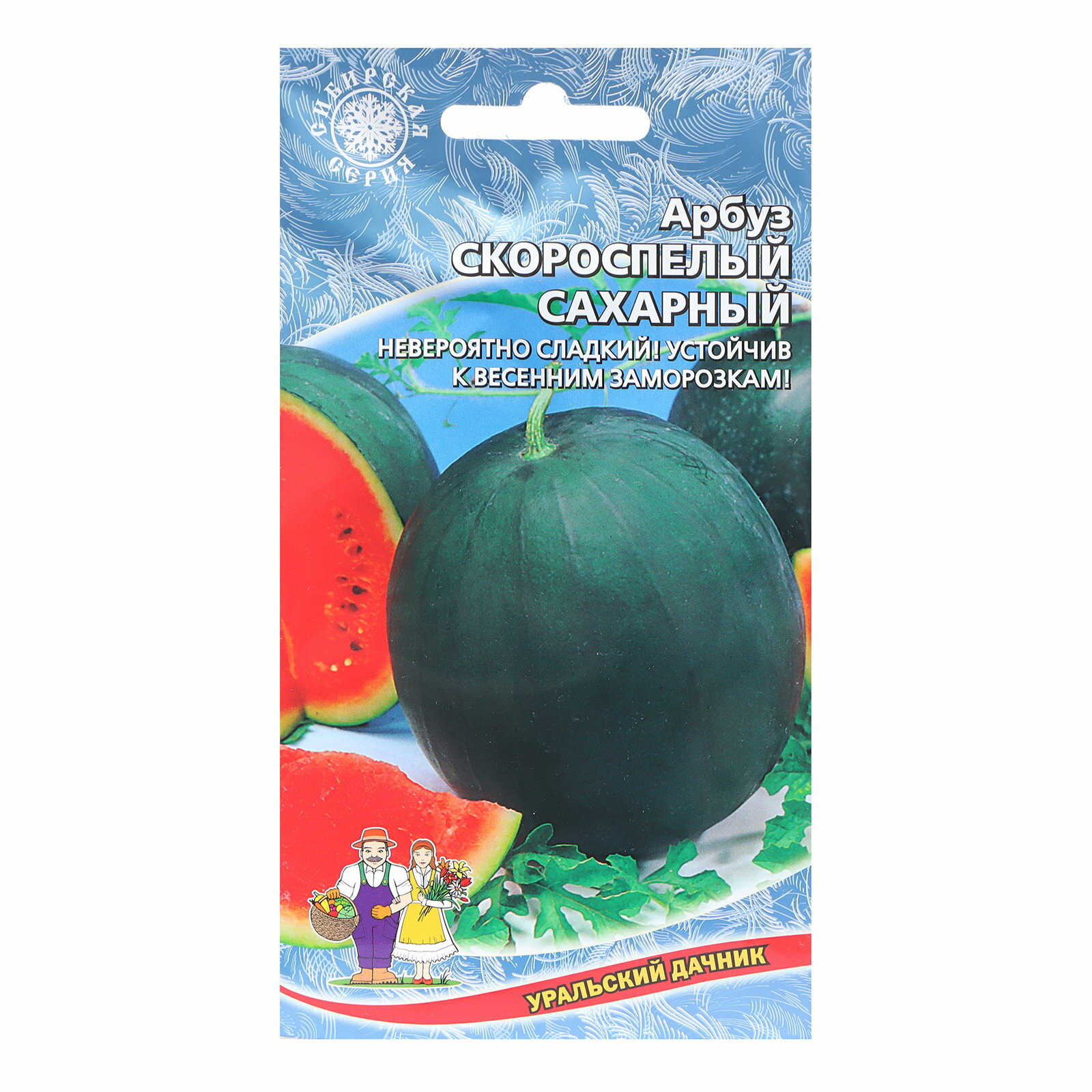 Рассада арбуза Сахарный малыш в горшочках