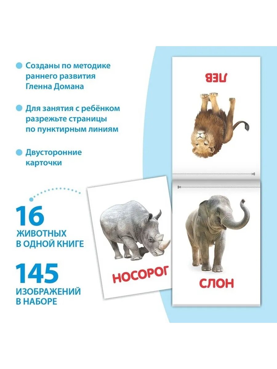 Обучающие книги с карточками для малышей