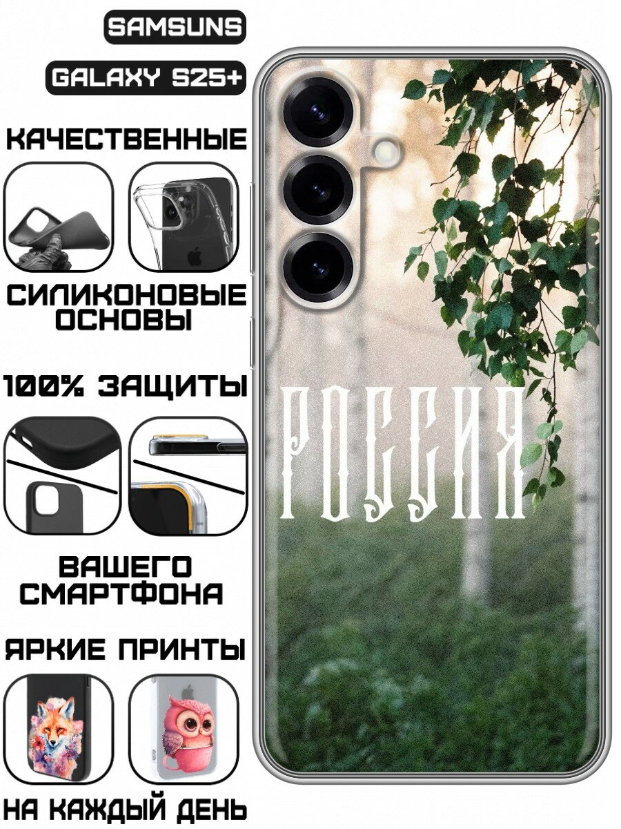 Чехол для Samsung Galaxy S25 Plus с принтом Березы России (Самсунг Галакси С25 Плюс)
