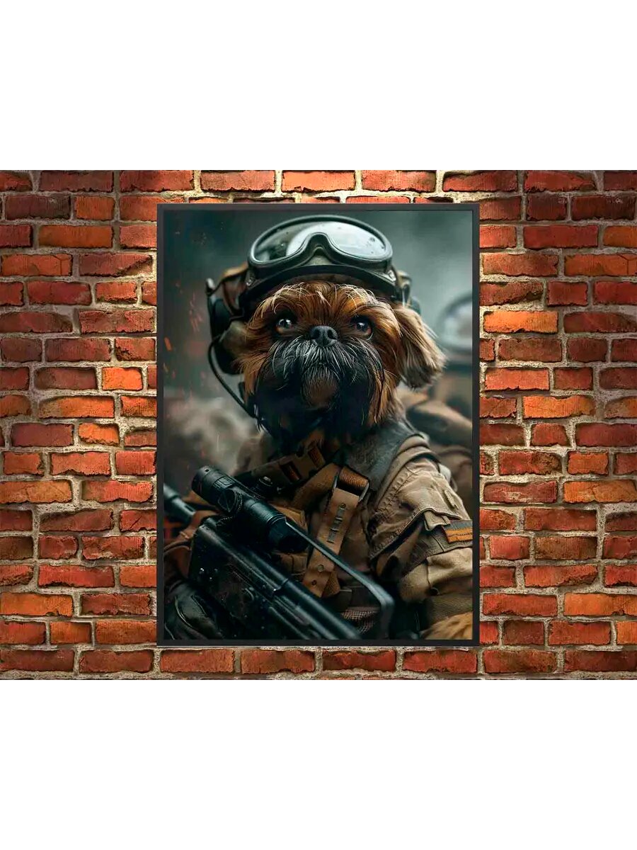Брюссельский гриффон-пес-солдат 3, Плакат 30x42см