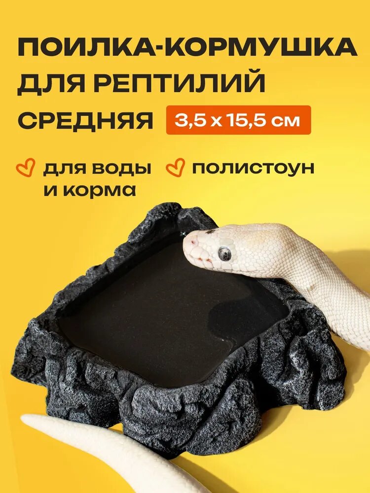 Поилка камень в террариум для рептилий и змеи, большая (3,5 х 12,5 х 15,5 см)