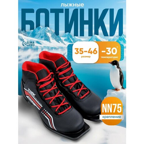 Ботинки лыжные Soul2 NN75, цвет черный (лого красный), размер 40