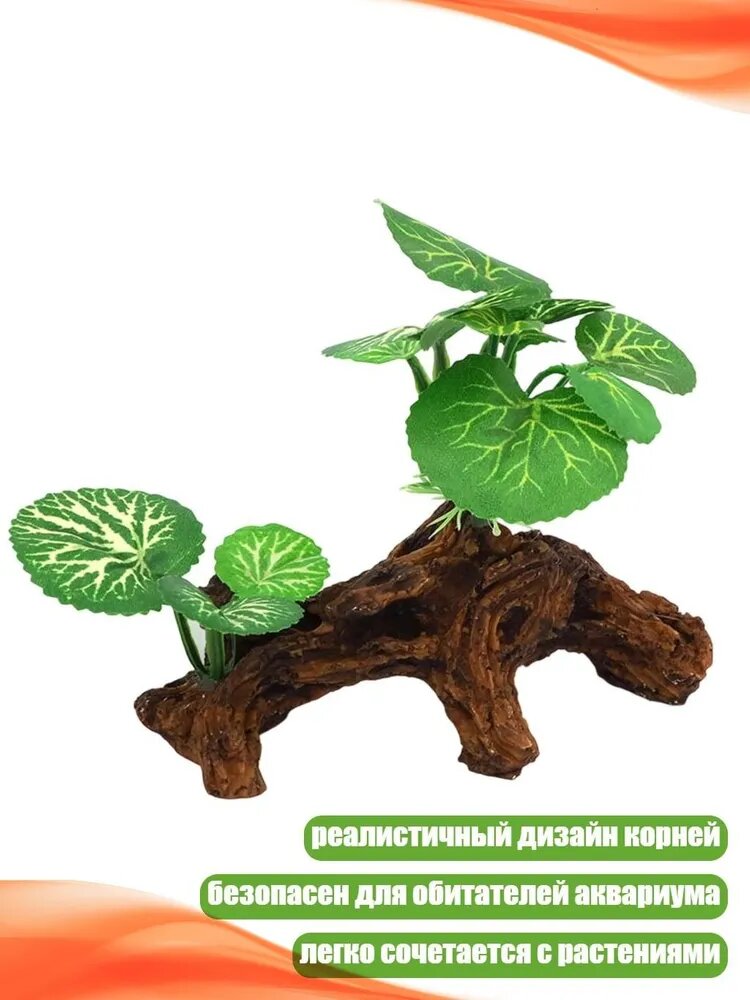 Декоративный корень дерева для аквариума, - 8