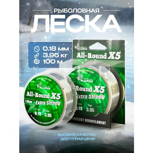 Монофильная леска ALLVEGA ALL-ROUND X5, 100 м, 4 кг, прозрачный, 1 шт.