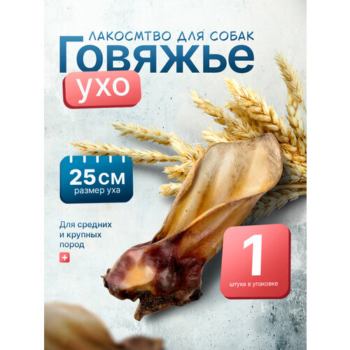 Лакомство для собак, ухо говяжье, SHEPHERD TM, 1шт.