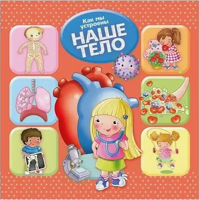 Как мы устроены Наше тело