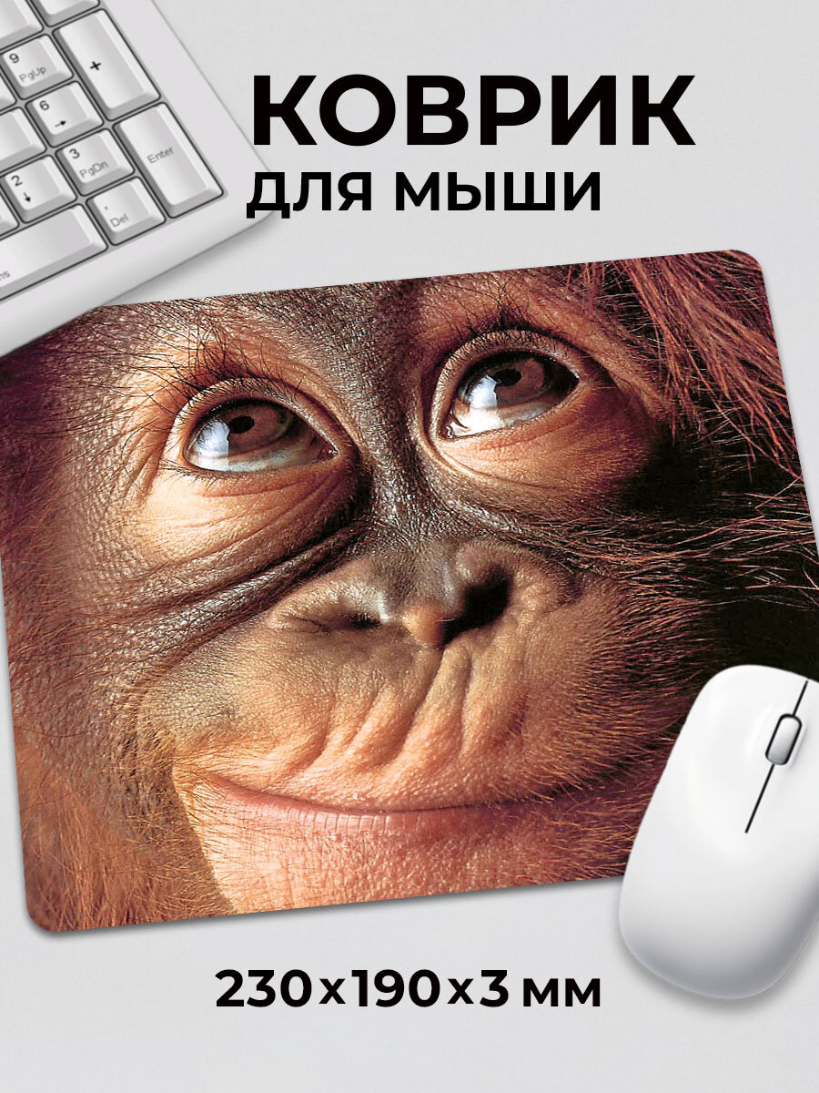Коврик для мышки игровой маленький Лицо обезьяны орангутанга