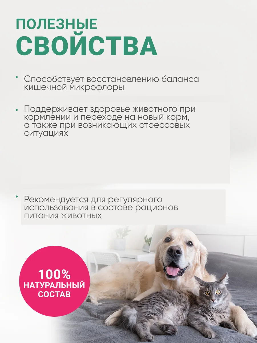 Пробиотик для собак и кошек лактобактерии для профилактики жкт, витамины для животных 20 шт. в упаковке — фото 1