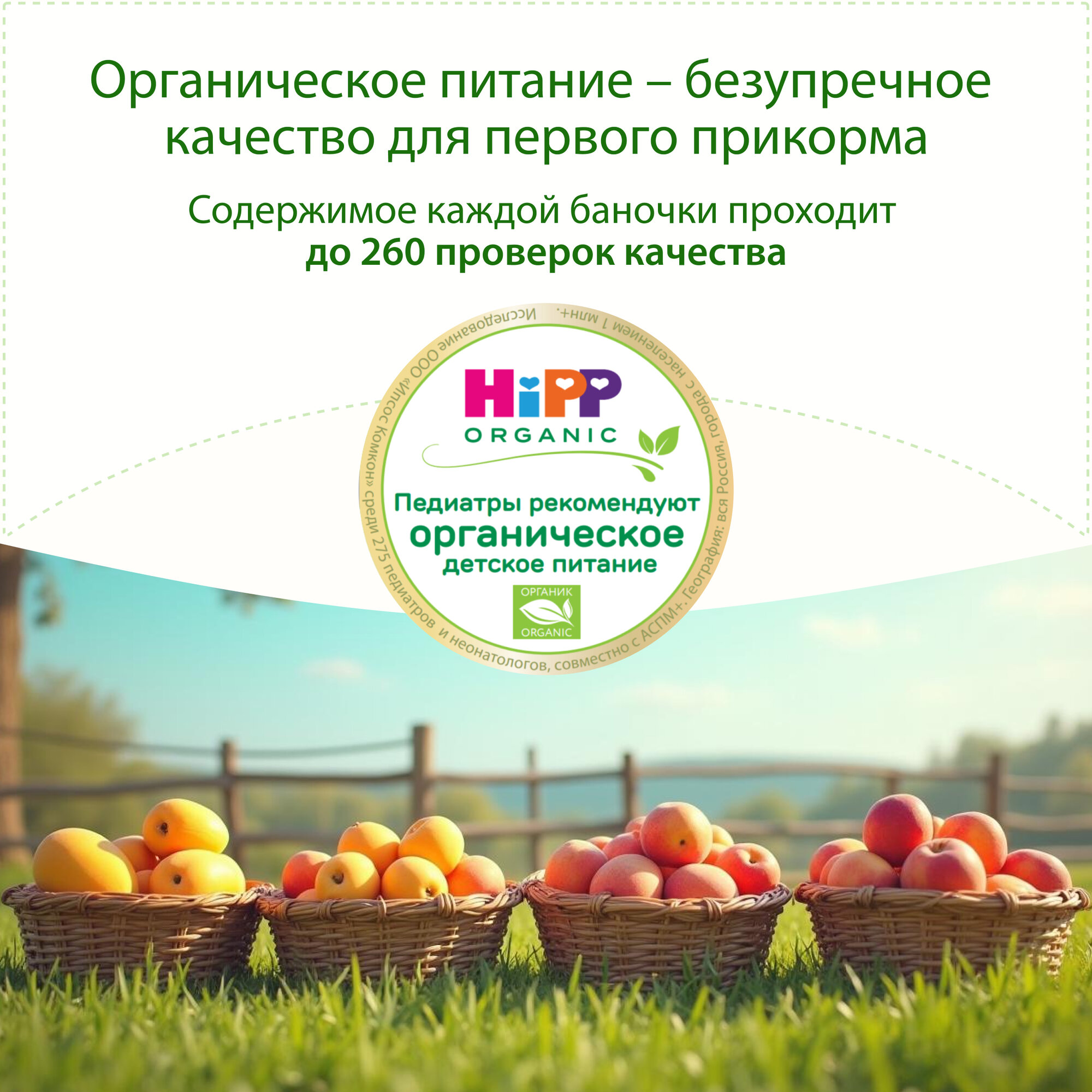 Пюре фруктовое детское HiPP "Десерт с манго", с 6 месяцев, 6шт х 100г — фото 1