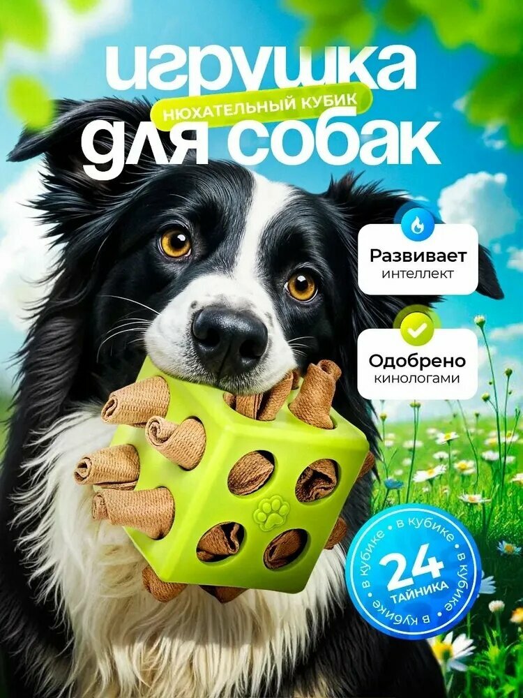 Нюхательный кубик для собак, развивающие игрушки из кубика Рубика