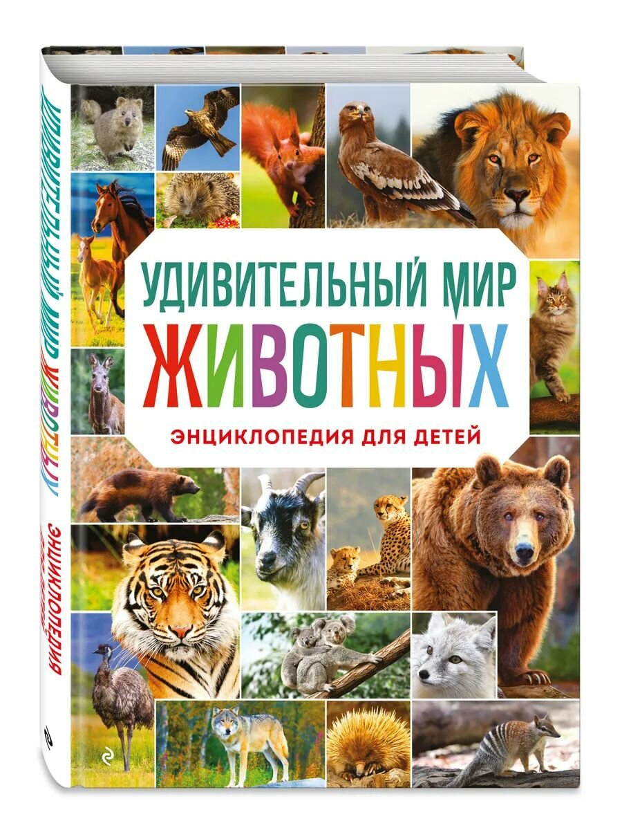 Книга про животных. Энциклопедия для детей. Книга в подарок