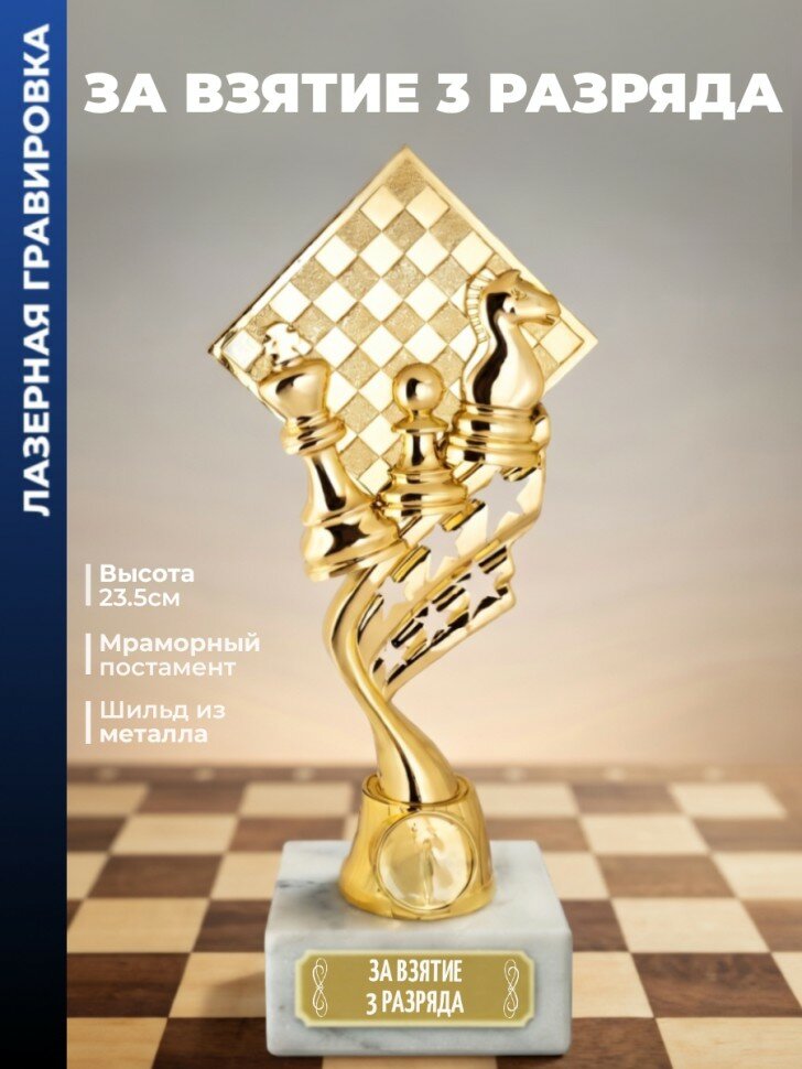 Кубок шахматы "За взятие 3 разряда" (23,5 см)