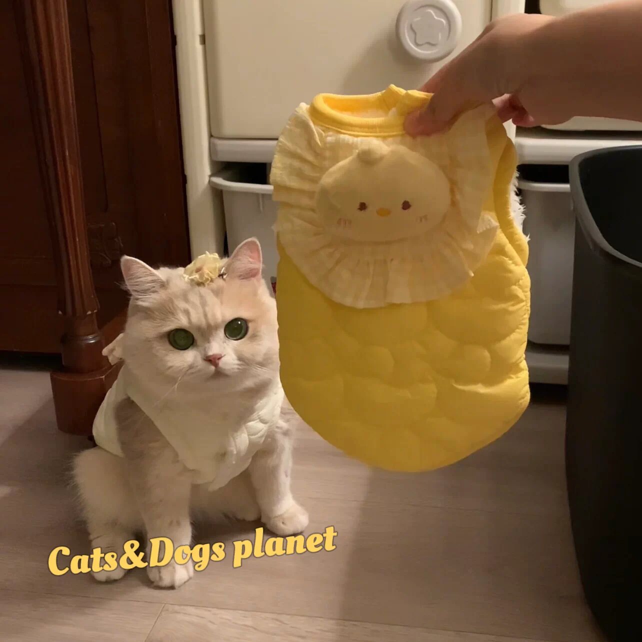 Женская плюшевая кофта для кошек и собак, мягкая теплая хлопковая, желтая, размер M (рекомендуемый вес 5-7 фунта)