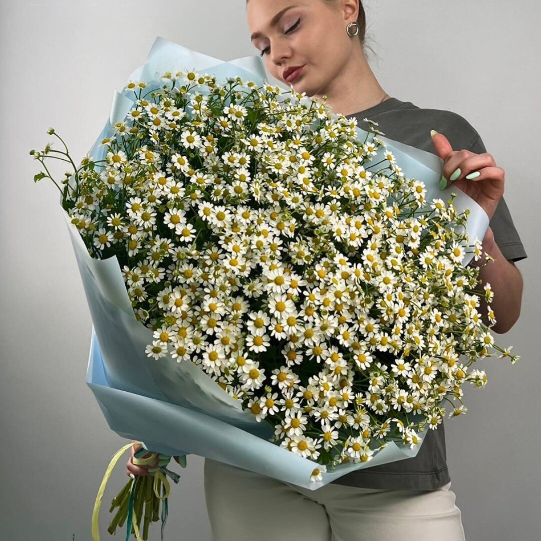 Букет из кустовых ромашек 25 шт, красивый букет цветов, шикарный, премиум цветы, премиум букет