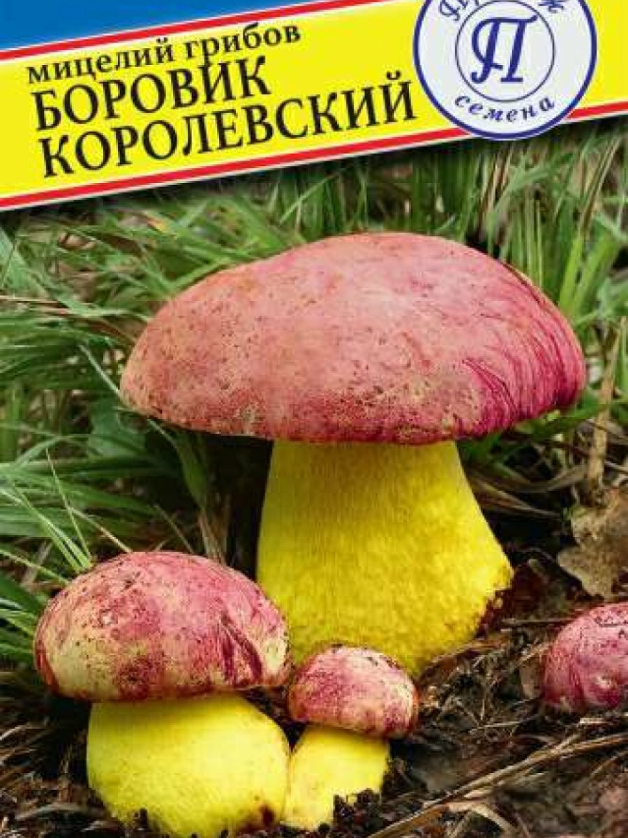 Мицелий грибов Боровик королевский 60 мл Престиж