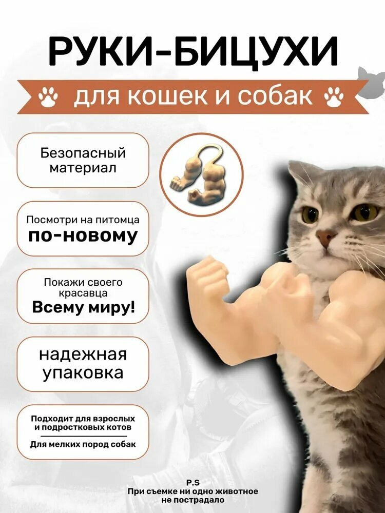 Руки Бицухи накаченные для кошек и собак