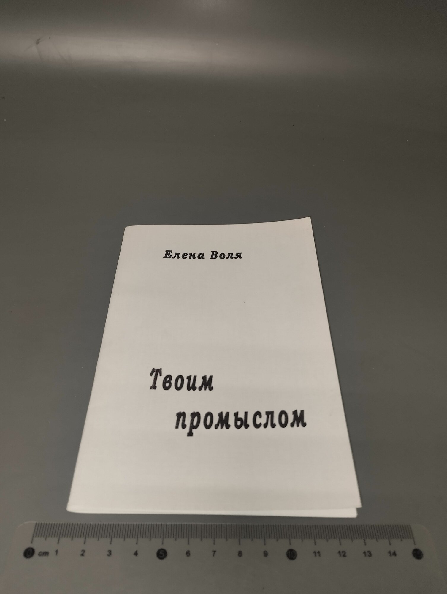 Твоим промыслом. Елена Воля. 2009