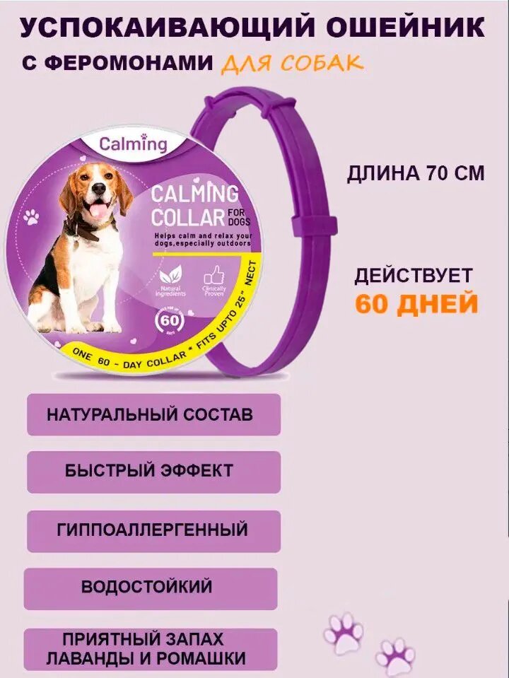Ошейник успокаивающий для собак с феромонами и эфирными маслами фиолетовый