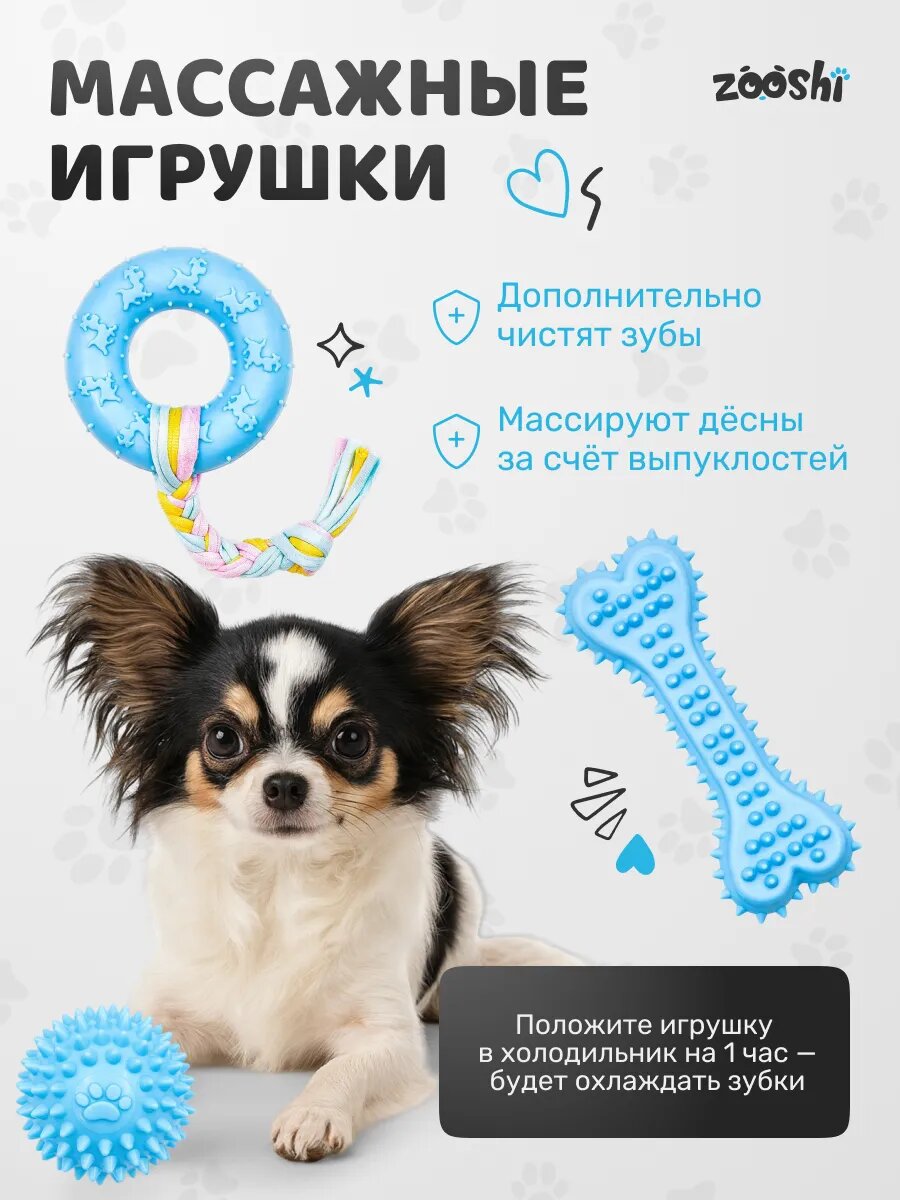 Набор игрушек ZOOSHI "5в1", для собак, текстиль/резина, 5 шт — фото 1