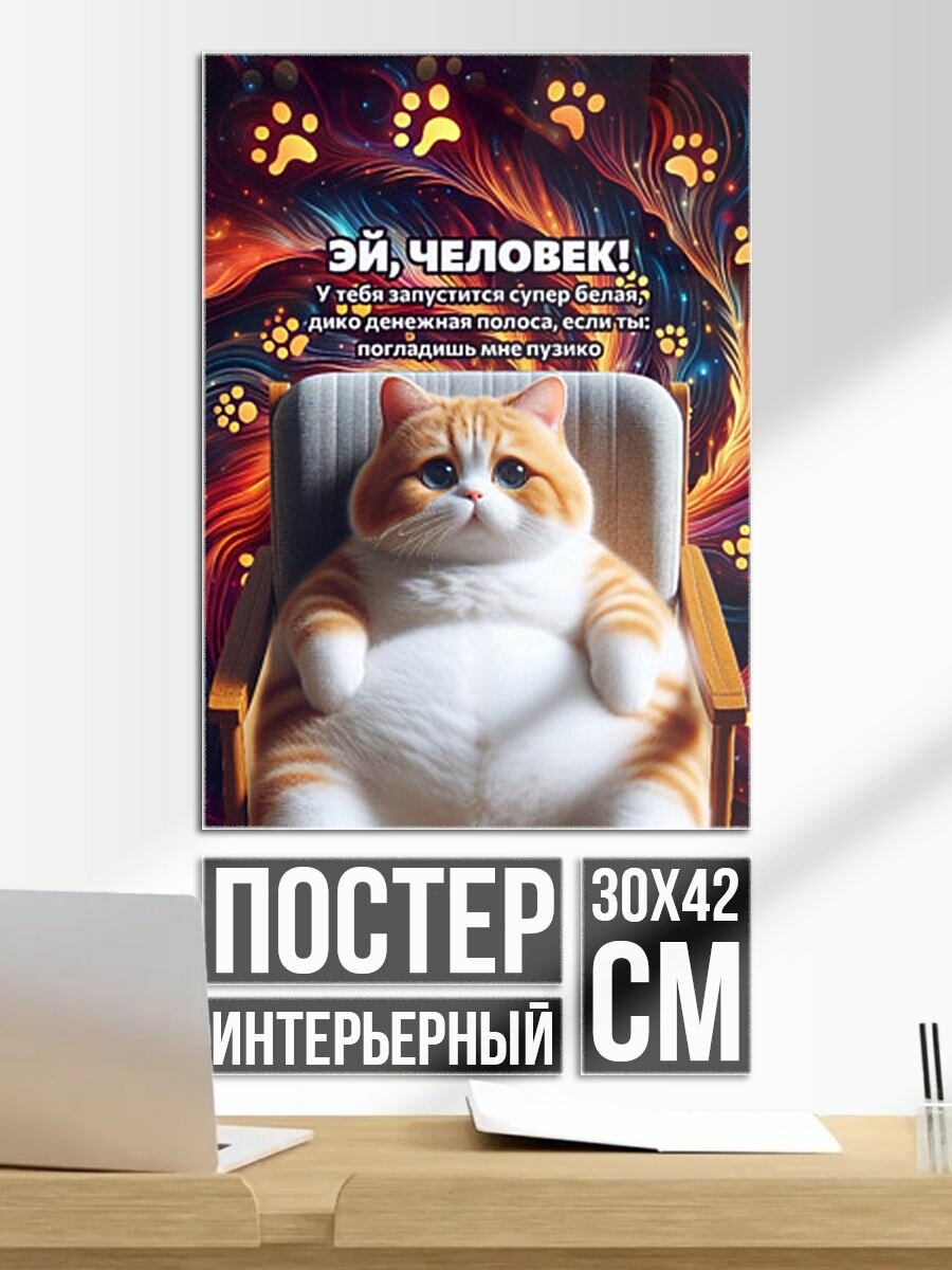 Постер на стену Запустится белая и денежная полоса если погладить пузо коту